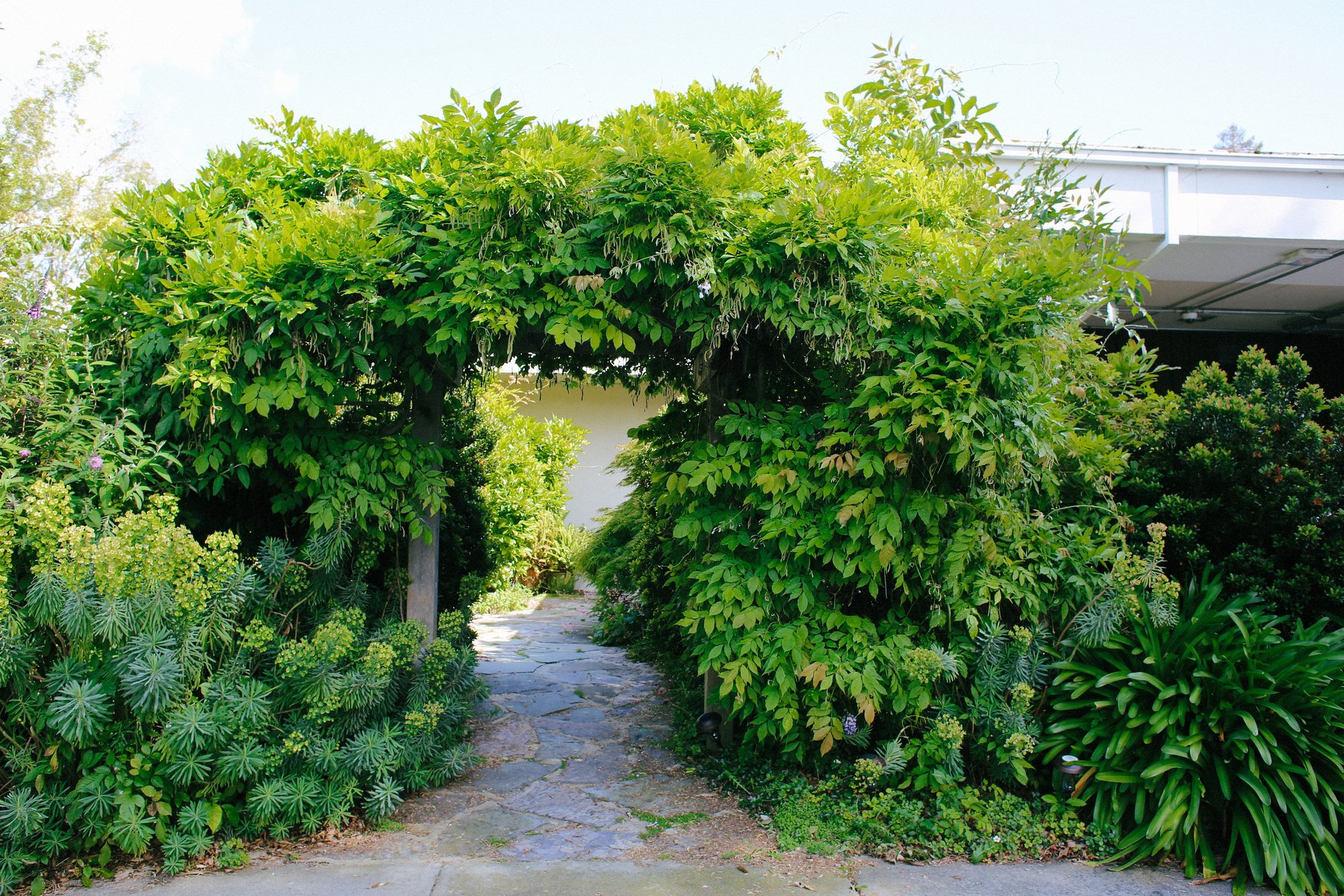Garden path of irregular gray flagstones leading through a leafy wooden arbor draped with climbing vines toward a building beyond