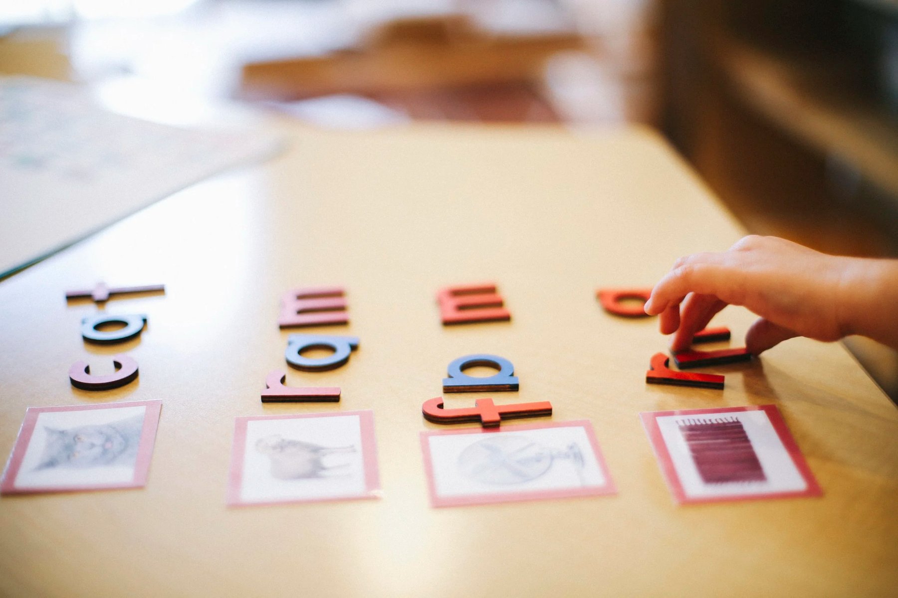 Close-up of a learner's fingers arranging Montessori movable-alphabet letters spelling cat, ram, and fan above three-part picture cards
